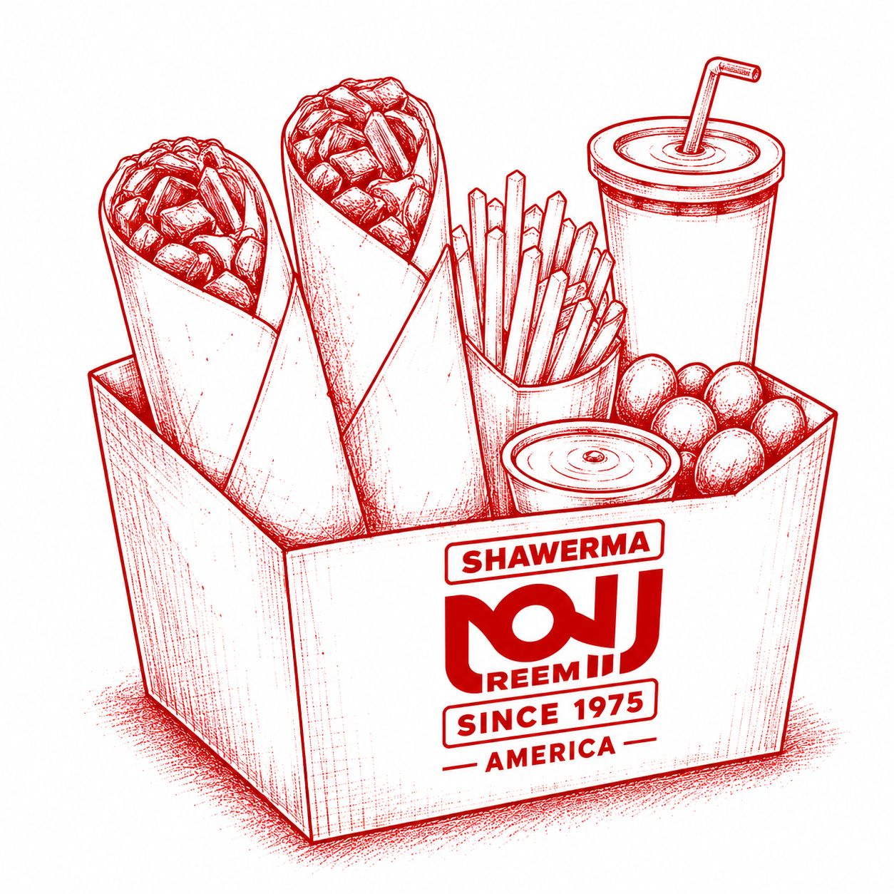 Family Shawarma Box